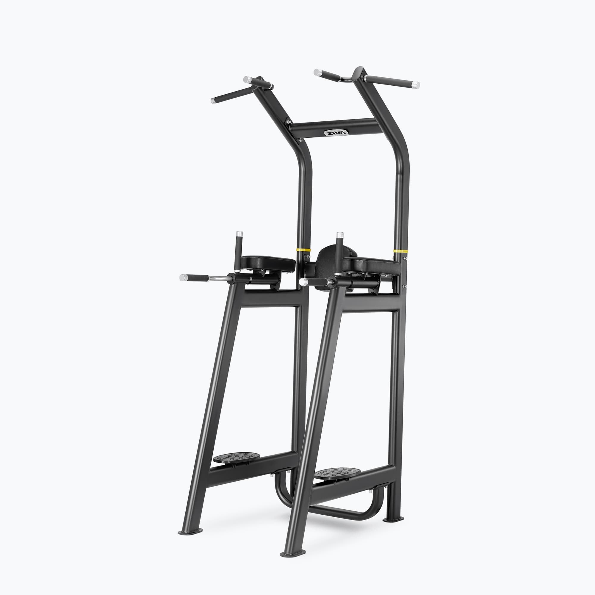 MULTI-GRIP KNEE RAISE/DIP/PULLUP STATION