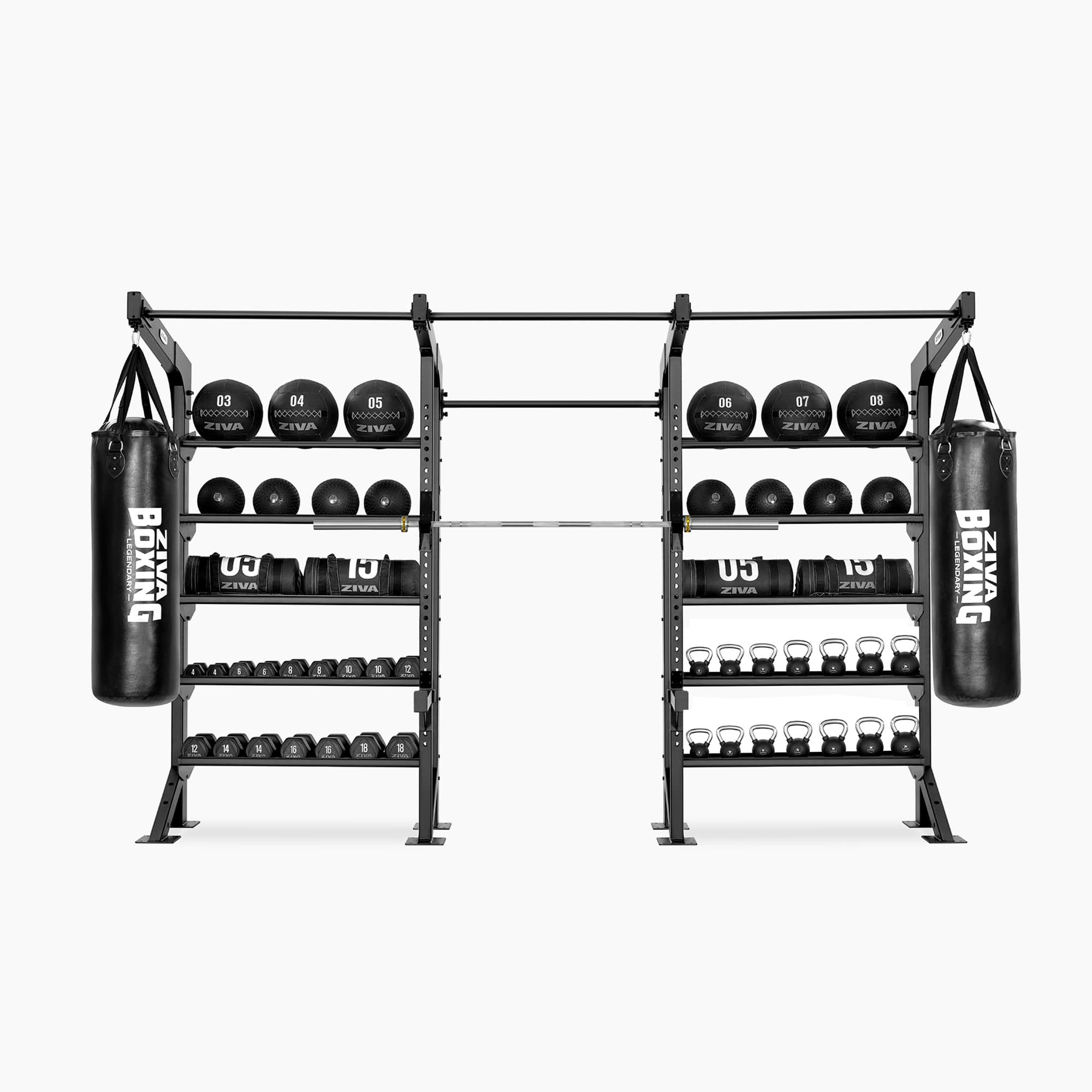 PERFORMANCE FUNCTIONAL TRAINING RIGS