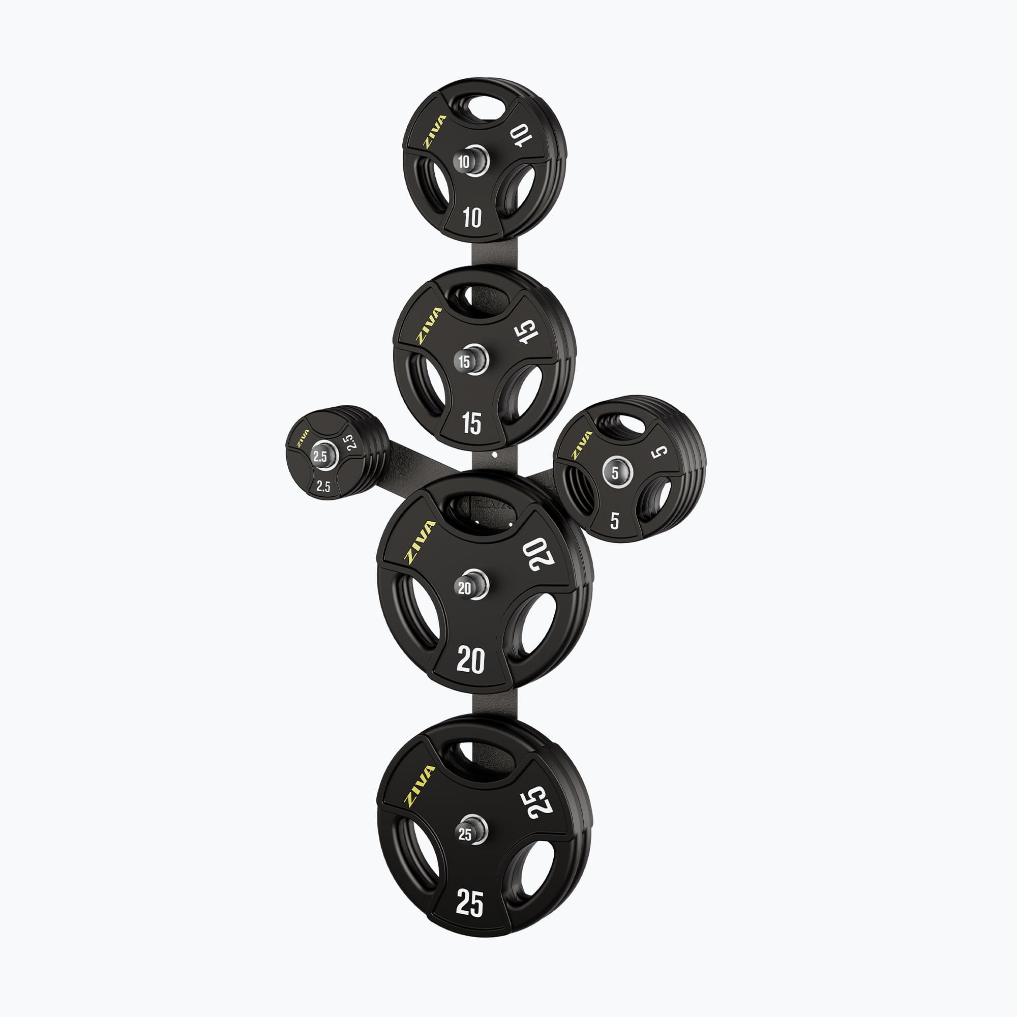 ZIVA WALL MOUNTED PLATE STORAGE RACK
